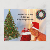 Postcrossing - Beardie-Claus - Bearded Dragon Briefkaart (Voorkant)