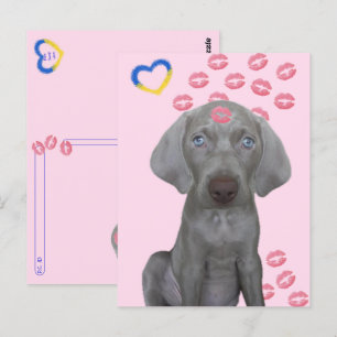 Postcrossing - Brooklyn the Dog's Kisses Briefkaar Briefkaart