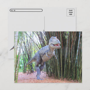 Postcrossing - Daspletosaur - Dinosaurus - Briefka Briefkaart