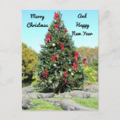 Postcrossing - Florida Gator Kerstboom Briefkaart (Voorkant)