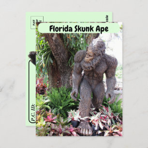 Postcrossing - Foto van Florida Skunk Ape Briefkaart