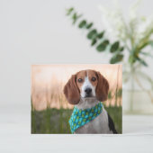 Postcrossing - Foxhound Postcard Feestdagenkaart (Staand voorkant)