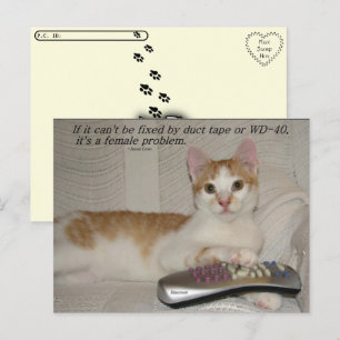 Postcrossing - Funny Quote Cat Briefkaart