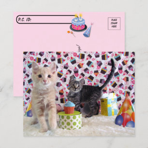 Postcrossing - Gelukkige verjaardag -  Kat Briefkaart
