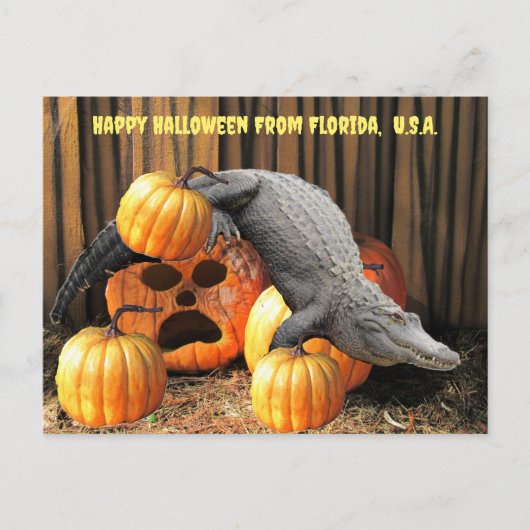 Postcrossing - Halloween pompoenen en gator Briefkaart (Voorkant)