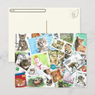 Postcrossing International Cat Stamps Briefkaart