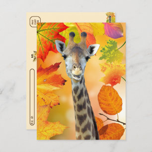 Postcrossing - kleurrijke herfst / Herfst Giraffe Briefkaart