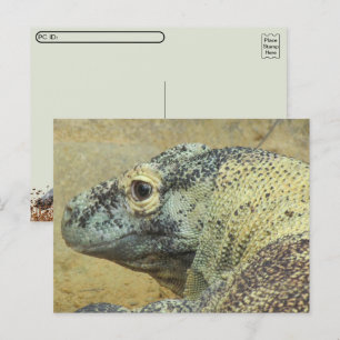 Postcrossing - Komodovaraan Briefkaart