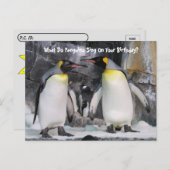 Postcrossing Koningspinguïns Grappige Verjaardagsa Briefkaart (Voorkant / Achterkant)