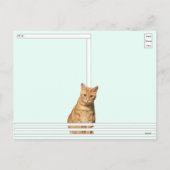 Postcrossing - La carte postale Où est maman chat (Dos)