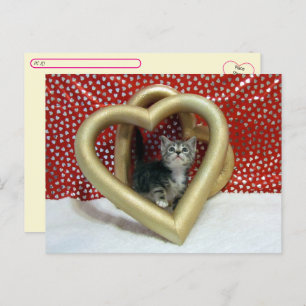 Postcrossing - Liefde, Lilo - Kat / Kitten Hart Briefkaart