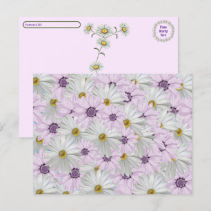 Postcrossing Mooie Roze & Witte Daisy Bloemen Briefkaart