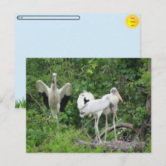 POSTCROSSING - Ooievaar Familie Ansichtkaart Feestdagenkaart