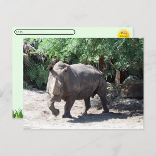 Postcrossing Oplaadneushoorn Briefkaart