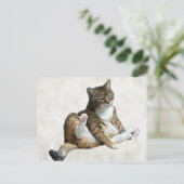 Postcrossing - Pose de chat ridicule - Carte posta (Debout devant)