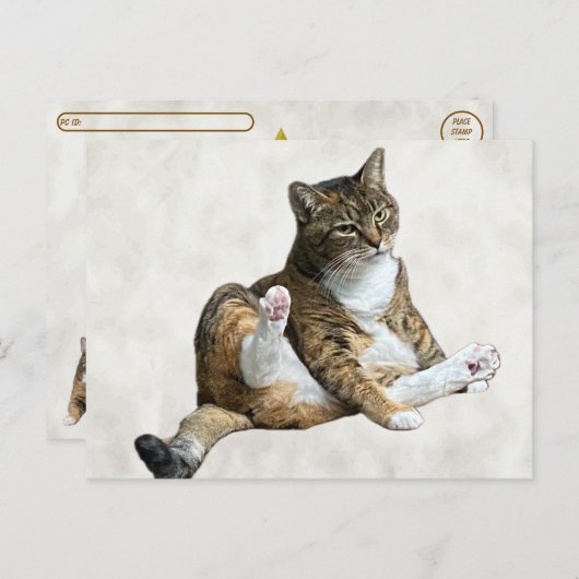 Postcrossing - Pose de chat ridicule - Carte posta (Devant / Derrière)