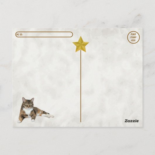 Postcrossing - Pose de chat ridicule - Carte posta (Dos)