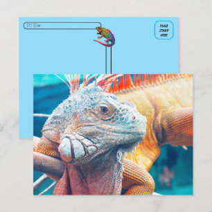 Postcrossing - Prachtig leguaan Briefkaart