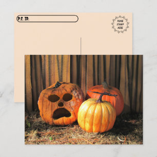 Postcrossing - Rotten Pumpkins Halloween Briefkaar Briefkaart