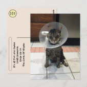 Postcrossing Schandekegel - Kat Gezondwordingskaar Briefkaart (Voorkant / Achterkant)