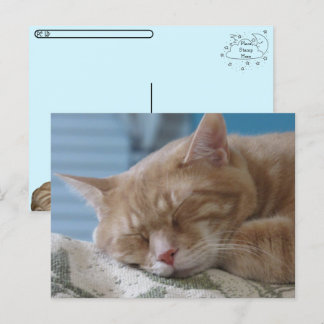 Postcrossing - Sleepy Kat Taz - Kat Briefkaart