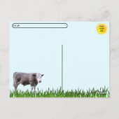 Postcrossing - This Bull Means Business Postcard Briefkaart (Achterkant)