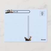 Postcrossing Tito Bandito De leukste kitten / kat Briefkaart (Achterkant)