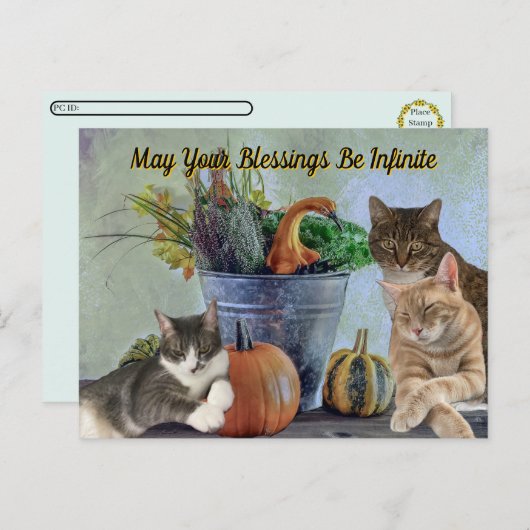 Postcrossing Tito Taz & Annie's 2025 Thanksgiving Feestdagenkaart (Voorkant / Achterkant)