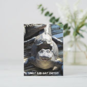 Postcrossing - Ultimate Florida Tourist Briefkaart (Staand voorkant)