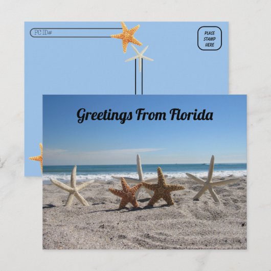 Postcrossing - Zeeschelpen op het strand Briefkaart (Voorkant / Achterkant)