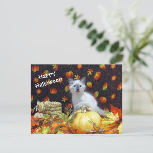 Poste - Carte postale Halloween de Savannah - Chat (Debout devant)