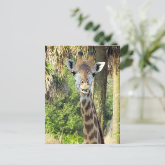 Poste - Carte postale Silly Giraffe (Debout devant)