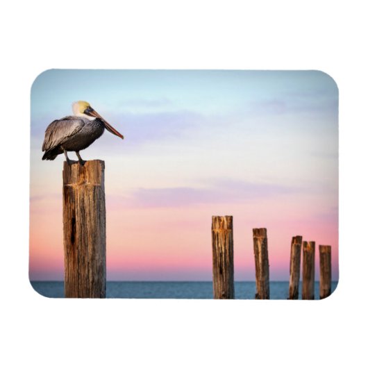 Posten en een Pelican | Fort Myers Beach, Florida Magneet (Horizontaal)