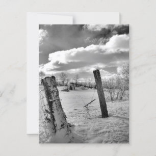 Posten in de sneeuw briefkaart