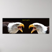 Poster (Devant)