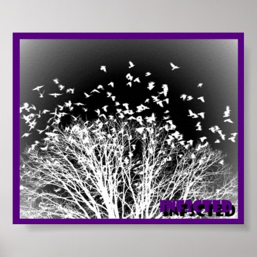 Poster (Voorkant)