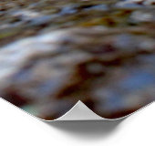 Poster (Coin)