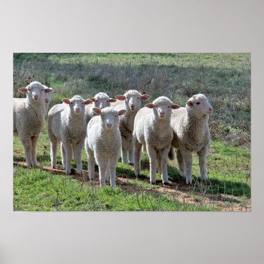 Poster (Voorkant)