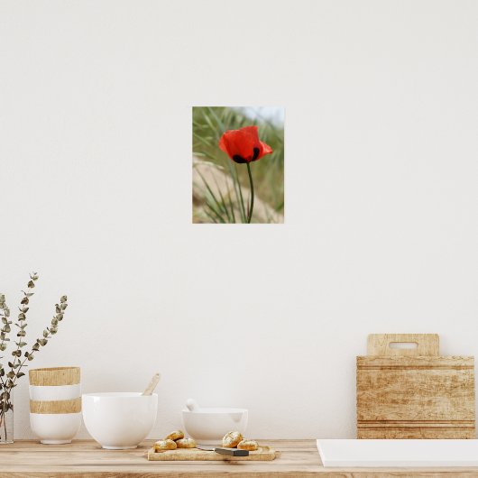 Poster (Cuisine)