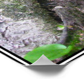 Poster (Hoek)