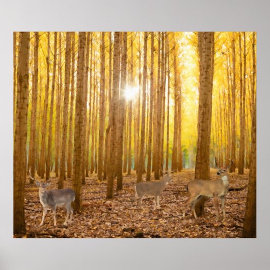 Poster (Devant)
