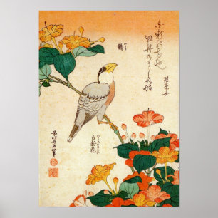 Poster オ 小 ロ, 北 Bird et Mirabilis Jalapa, Hokusai