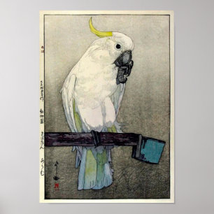 Poster キバタン・オウム, Sulphur-crested cockatoo, Yoshida
