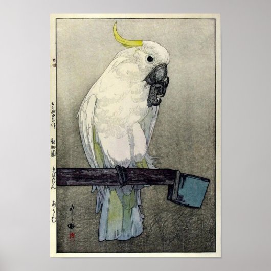 Poster キ バ ン ・ タ, ウ, Sulphur-crested cockatoo, Yoshida (Devant)
