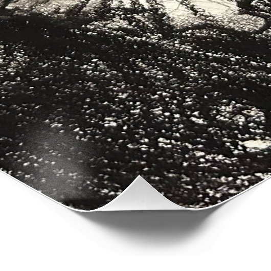 POSTER グロッシーポスター (Coin)