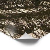 POSTER グロッシーポスター (Coin)