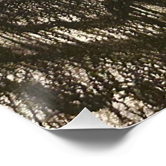 POSTER グロッシーポスター (Coin)