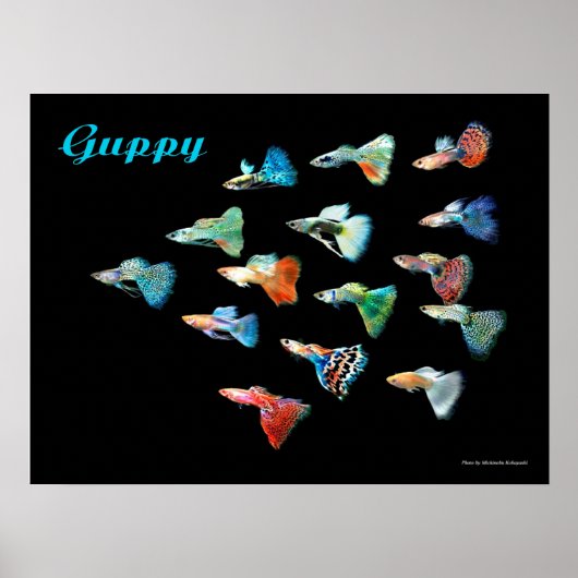 POSTER グ ッ ー (Devant)