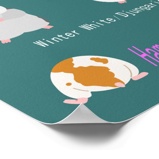 POSTER ム の ー タ 種 類 一 (Coin)