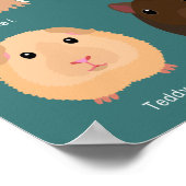 POSTER モルモットの種類一覧 (Coin)